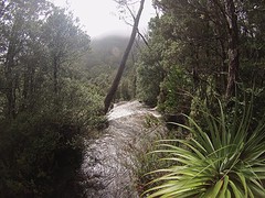 Overland Track