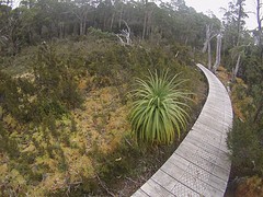 Overland Track