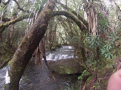 Overland Track