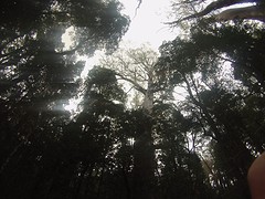 Overland Track