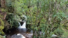Overland Track