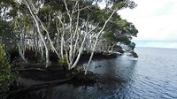 IMG_20160427_151311
