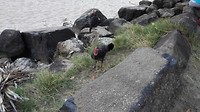 IMG_20160424_151317