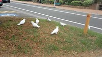 IMG_20160408_130331