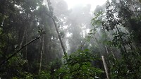 IMG_20160426_163555
