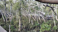 IMG_20160427_150922