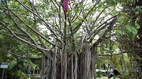 IMG_20160428_124236