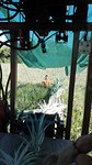 IMG_20160528_133557