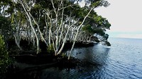 IMG_20160704_220507