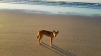 IMG_20160608_064721