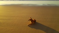 IMG_20160608_064739
