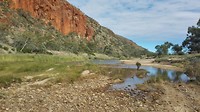 IMG_20160622_104730