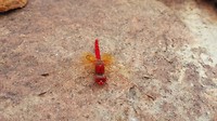 IMG_20160623_150324