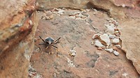 IMG_20160623_155010