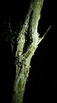 IMG_20160629_191913
