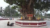 Shwedagon Pagoda, Myanmar in 4K