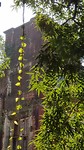 Koloniaal Yangon