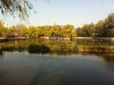 Green Lake Park