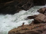 Tiger Leaping Stone 1