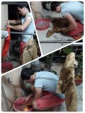 snelcursus handwassen