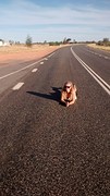 Sofia's style of hitchhiking