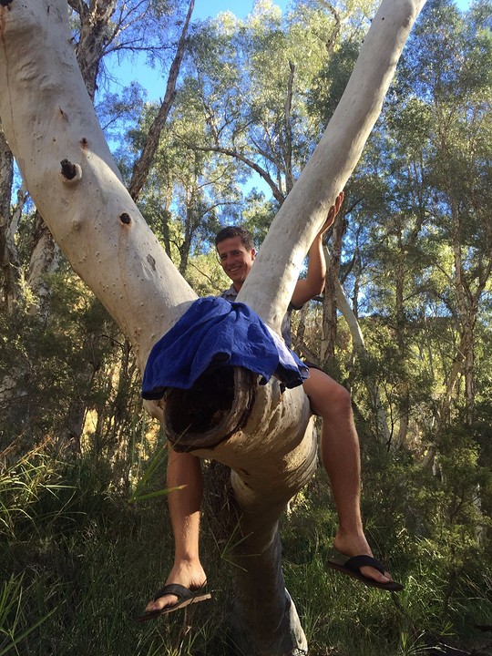 Comfortable in the tree