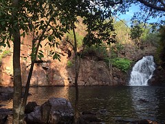 The only place we could visit at Litchfield National Park