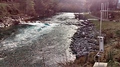 Mountainbiking in Wanaka 4