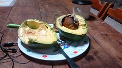 The size of Brazilian avocados