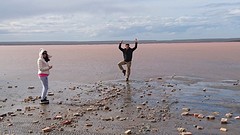 Pink Lake