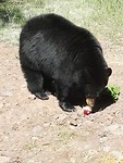 IMG_20190525_151303