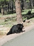 IMG_20190525_150824
