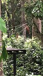 OU mom with baby showing off