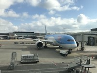 TUI 787-8