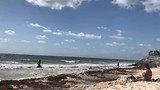 Fietsen in Tulum