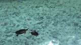 Grand Cenote