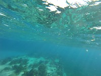 Snorkelen boven schipbreuk