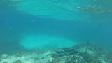 Snorkelen boven schipbreuk