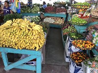 Heel veel fruitkraampjes