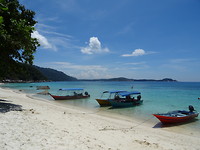 Turtle Beach