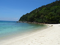 Turtle Beach