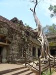 Ta Prohm