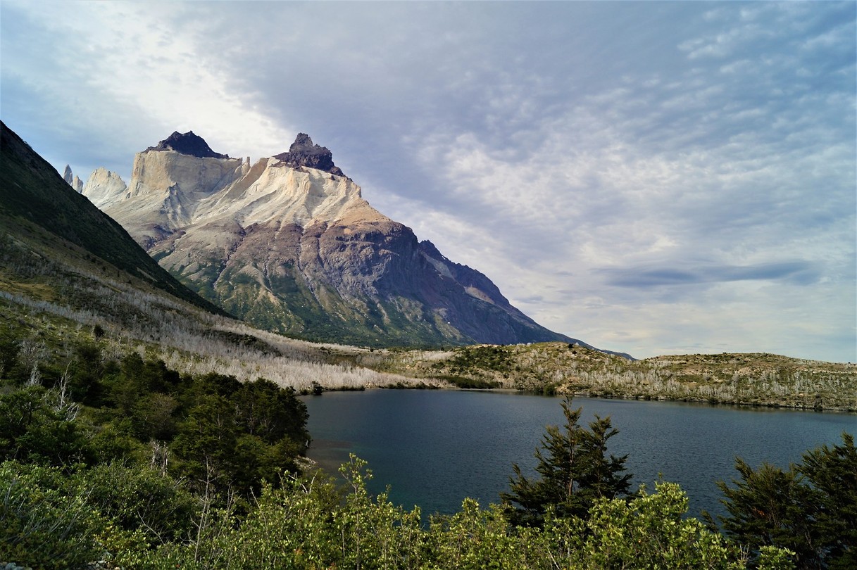 Torres del Paine 21
