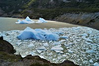 Torres del Paine 36