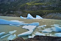 Torres del Paine 39