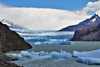Torres del Paine 38