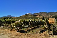 Santiago 7