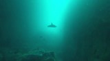 Galapagos deel 1 - veel onder water