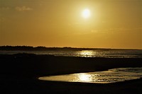 Galapagos deel 2 - 8