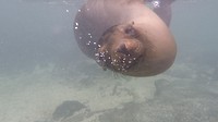 Galapagos deel 2 - 45